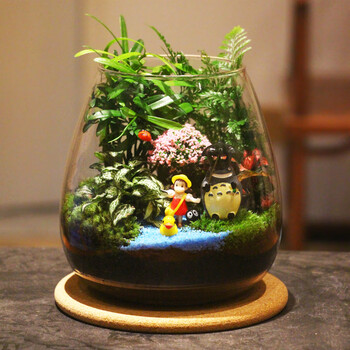 创意迷你植物苔藓微景观办公绿植 乔迁微盆景生态瓶圣诞节盆栽 龙猫