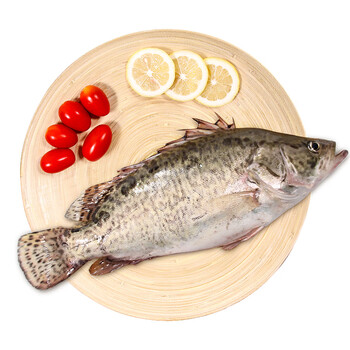 仙泉湖 桂花鱼三去净膛400~500g(cnas认证)广东鳜鱼烧烤食材海鲜水产