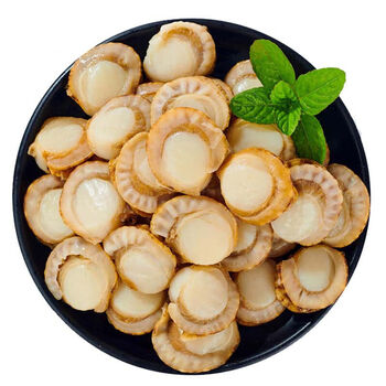 干扇贝肉海捕全贝肉海产品夏夷贝250g/500g/1000g 大号扇贝肉 腾旺纳