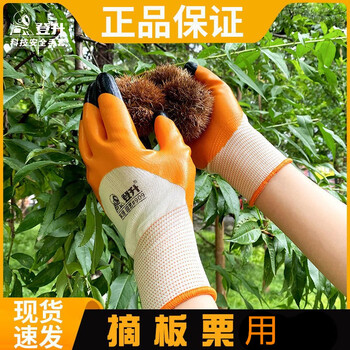 剥栗子手套 捡栗子防扎手套剥壳拾板栗专用手套防刺手套剥采摘捡 两双