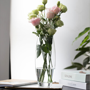 帕莎帕琦玻璃花瓶 帕莎帕琦pasabahce欧洲进口玻璃插花花瓶欧式花瓶摆件家居装饰客厅现代简约时尚礼盒装260mm 行情报价价格评测 京东