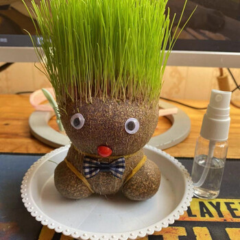 草头娃娃小盆栽创意可爱幼儿园浇水头顶上长草的小人植物情侣桌面 草