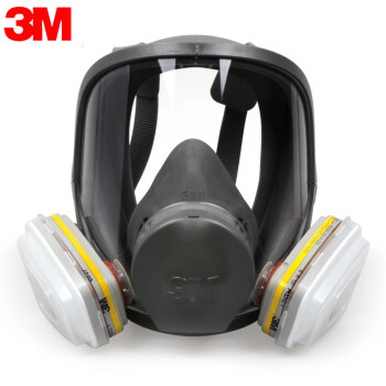 3M 防毒口罩全面具全面型防护面罩 中号6800面罩有机/无机/酸性气体综合气体防护套装6800+6