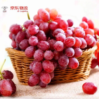 新疆克伦生无籽红提葡萄新鲜精美礼盒装红宝石红提脆甜红地球提子2斤