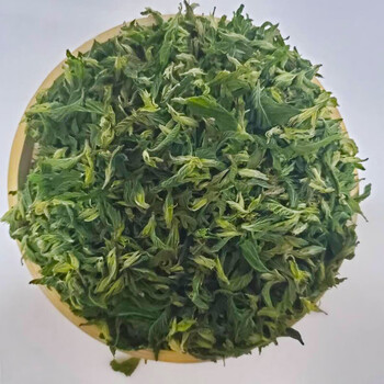 5折 忆山堂桑芽茶 食用霜后桑叶嫩芽茶春天山东桑芽250g 250g