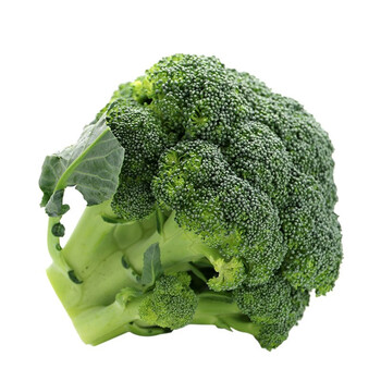 西兰花  西蓝花农家自种青花菜 绿花菜 1000g