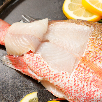 领鲜派 海红鱼 三去净膛深海红鱼(去鳃去鳞去内脏)珠海本地工厂直供