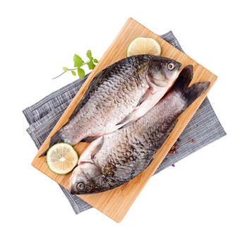 淡水新鲜鲜活现杀鲫鱼新鲜小鲫鱼生鲜活体现杀土鲫鱼孕妇儿童煲汤 现