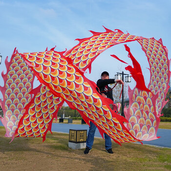 旭莱 广场舞龙彩带健身耍龙甩彩带儿童带龙头彩龙中老年人广场舞手甩