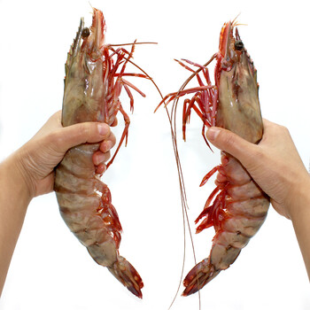 优快鲜 缅甸大虎虾 冷冻大虾 1kg 6头装