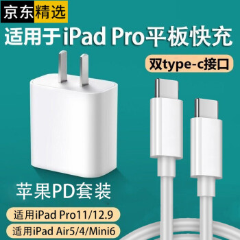 苹果ipad Pro充电器air4套装5平板mini6双头type C数据线11快充12 9 英寸畅尼usb C配套插头 扁口pd线21年款 图片价格品牌报价 京东