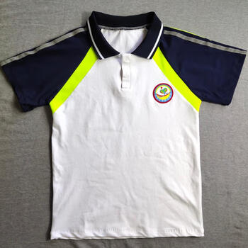 dicify乐至县城西小学学生校服夏季短袖上衣棉质t恤班服通用园服polo