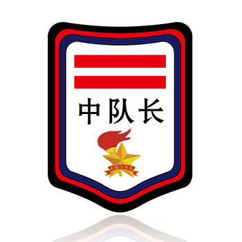 少先队标志 中小队长两道杠一道杠大队委班干部袖章臂章标志三道杠 中