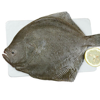 鲜物湾海捕鲜活多宝鱼冷冻海鲜水产冰鲜 7-8两一只(共6条)