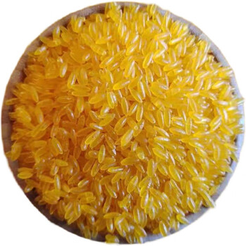 厨师黄金米东北玉米现磨粗粮米农家特产玉米胚芽米5斤装