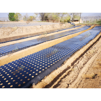 斯亚特打孔地膜黑膜pe农用薄膜药材蔬菜防草除草防虫新款进口银黑反光