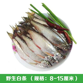 微山湖小杂鱼淡水鱼小杂鱼鲫鱼昂刺鱼黑鱼鲶鱼小泥鳅白条 微山湖白条