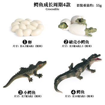 嘴巴可动的鳄鱼玩具儿童实心两栖动物鳄鱼模型野猪鳄 尼罗鳄 扬子鳄