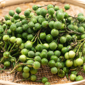 味巴哥云南风味野生新鲜小苦子苦子果小圆茄新鲜油煎素撒苤苦水傣