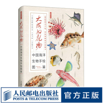 大海的礼物 中国海洋生物手绘图鉴 100幅海洋生物 精美手绘海洋大百科 海洋科普图册