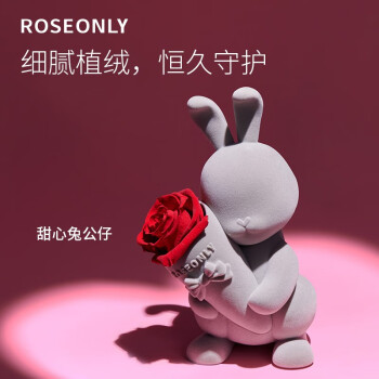 roseonly諾誓永生花玫瑰甜心兔禮盒生日送女朋友結婚紀