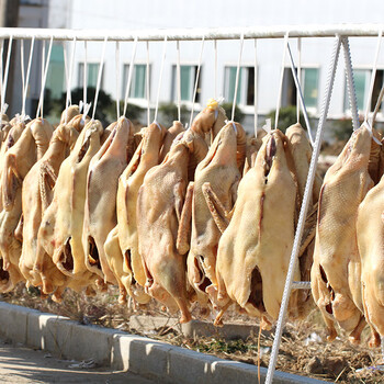 馨鲜小岛风干鹅六安特产正宗皖西大白鹅农家腌制咸鹅