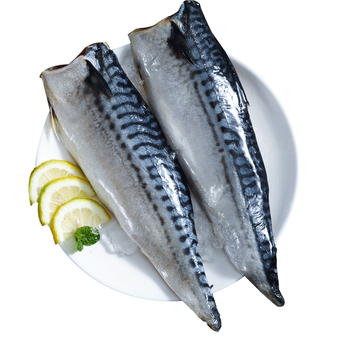 滋百尚生冻青花鱼6条装共920g