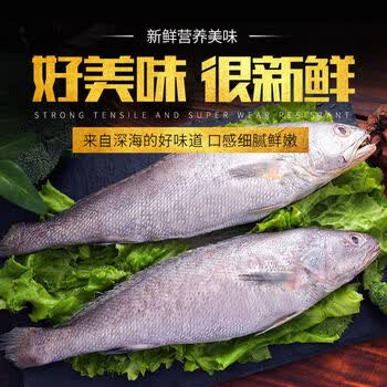 海捕海鲜米鱼海鲜鳘鱼海鲜鲜活米鱼海鲜鲜活鳘鱼海