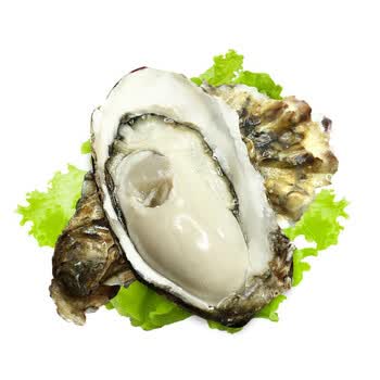 活鲜 御鲜之王生蚝鲜活海鲜水产海蛎子牡蛎烧烤食材4kg 30个 150 0g 只 图片价格品牌报价 京东