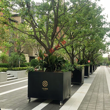 镀锌钢板户外树池花箱景观成品花池花槽304不锈钢花坛室外大树箱