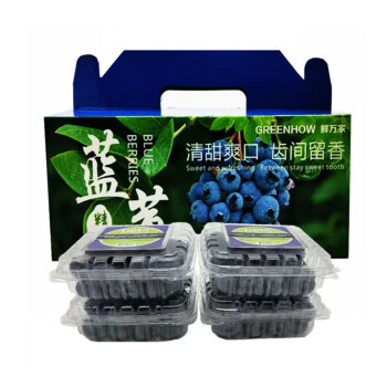 GREENHOW秘鲁蓝莓鲜果新鲜水果蓝莓礼盒装大果整箱 2盒125g 礼盒装
