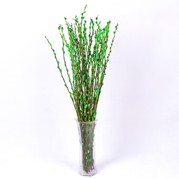 颜色冬季室内装饰植物干花观花植物四季客厅花卉盆栽银柳挂饰水培植物