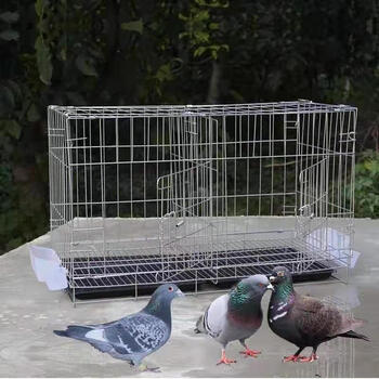 店铺推荐兔笼养殖笼运输笼兔笼镀锌铁丝笼镀锌带托盘804350折叠