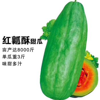 美园中(meiyuanzhong)红瓤酥甜瓜种子牛角酥瓜种籽四季高产青皮红壤