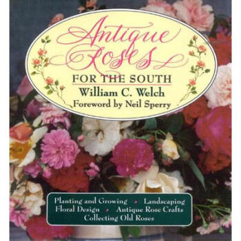 Antique Roses for the South