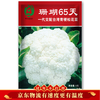 凤鸣雅世花菜种子菜籽花椰菜种籽松花菜种籽花椰菜籽四季蔬菜种子春秋季盆栽蔬菜种籽蔬菜种孑珊瑚65松花菜种子5克 图片价格品牌报价 京东 凤鸣雅世花菜种子菜籽花椰菜种籽松花菜种籽花椰菜籽四季蔬菜种子春秋季盆栽蔬菜种籽蔬菜种孑珊瑚65松花菜种子5克 图片价格品牌报价 京东