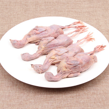 鹌鹑肉新鲜冷冻烧烤油炸卤腌制商用冰冻食材大号生鲜速冻 10只
