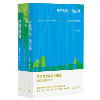 新晋茅盾文学奖得主东西系列：天空划过一道白线+回答+多维的回响（套装共3册）（限量签名本售完即止。东西短篇小说精选、访谈录、作品评论集，带你走进东西的文学世界）