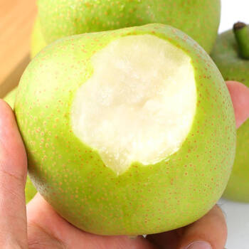 甜莓之都 河北绿皇冠梨5斤 当季新鲜水果自然成熟香甜翠冠青皮梨子