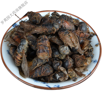 方牛虻虫虻虫牛虻牛蚊子牛苍蝇瞎虻虫牛虻干中药材50克