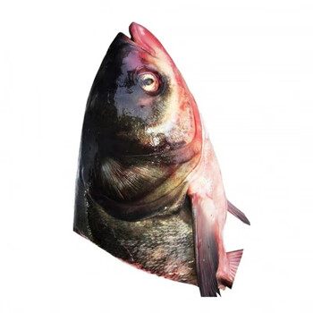 皓谦安峰山鱼头鳙鱼胖头鱼花鲢鱼头新鲜活鱼现杀大鱼头生鲜冷运鱼 3斤