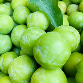 云南三月李酸脆李子孕妇水果应季青脆李梅子三月李酸脆净重1斤辣椒粉