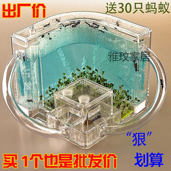antelves是什么牌子？蚂蚁城堡