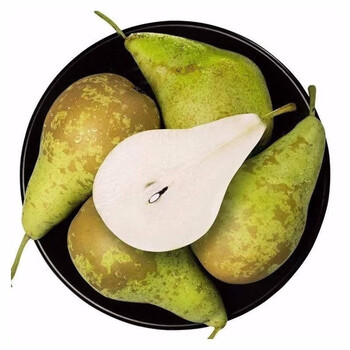 青尊园 荷兰/比利时进口青啤梨 新鲜软糯香甜爽口青梨生鲜水果 优选果