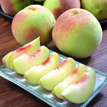 山东青州蜜桃秋桃毛鲜蜜桃现摘现发脆甜桃子毛桃 5斤中果【单果100g