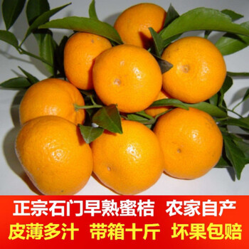 蜜柑和蜜桔的区别(蜜橘和蜜桔的区别)