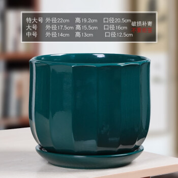 芊堂苑北欧花盆陶瓷黑白色家用室内阳台兰花蝴蝶兰带托盘绿萝君子兰盆景 10147B深青绿 大
