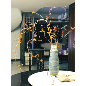 水培植物南蛇藤鲜切枝条鲜花束鲜枝北美冬青网红绿植