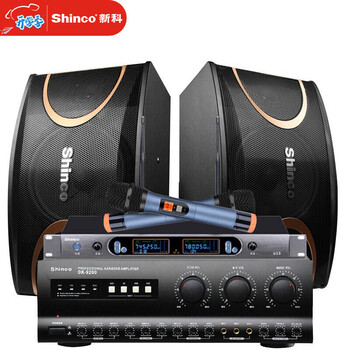 新科shincoktv音响套装家庭影院音箱组合蓝牙家用舞台会议卡拉ok10吋