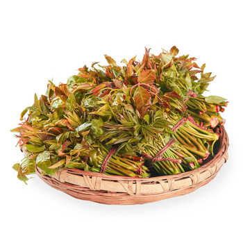 jd速运香椿芽春季头茬现摘香椿生鲜绿香椿芽红油香椿野菜新鲜蔬菜京鲜